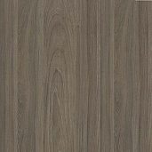 Вяз Благородный